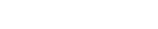 Example Image